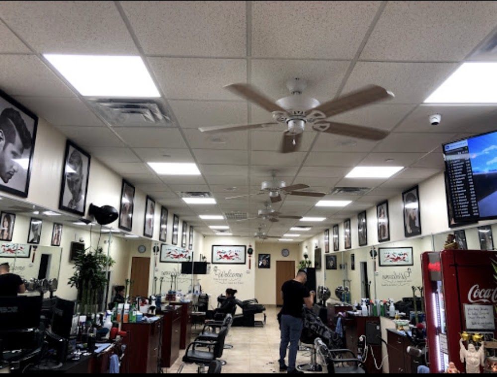 MT Salon view 4