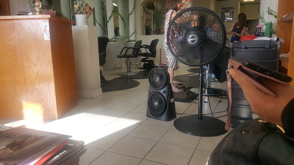Liz Hair Salon view 3