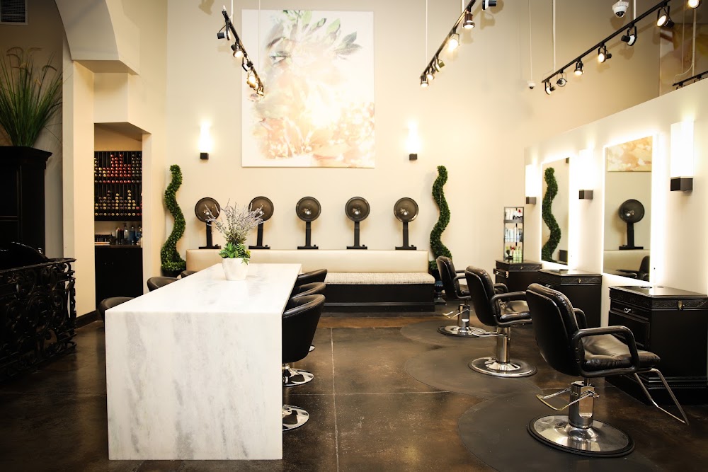 Alan Murphy Salon view 2