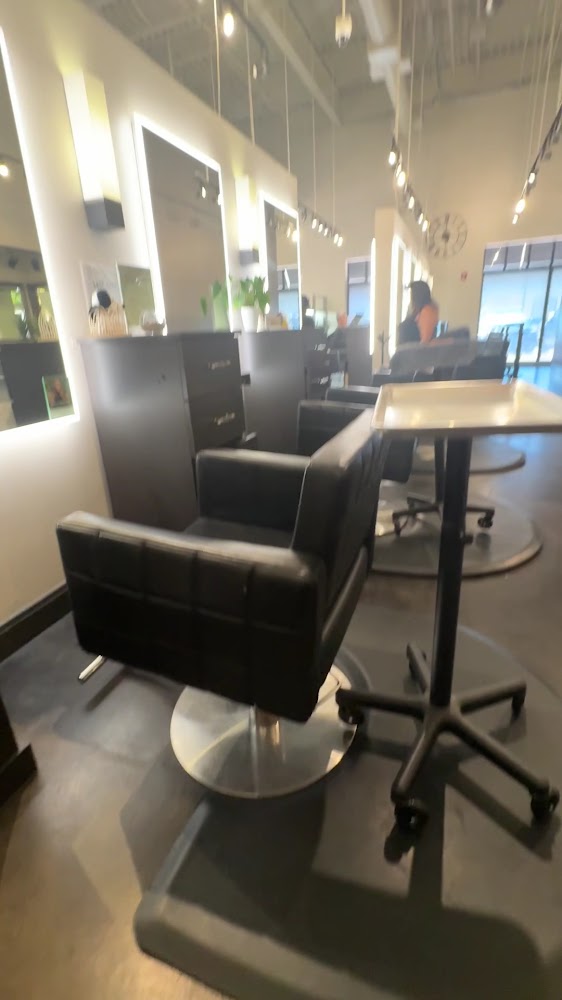 Alan Murphy Salon view 3