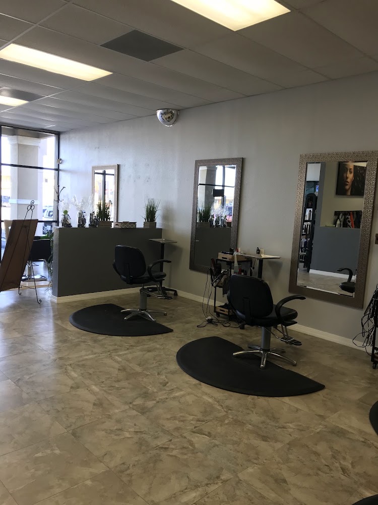 The Hair Studio view 4