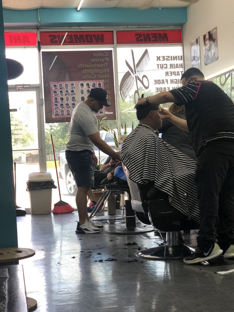 Ani's Hair Salon primary photo