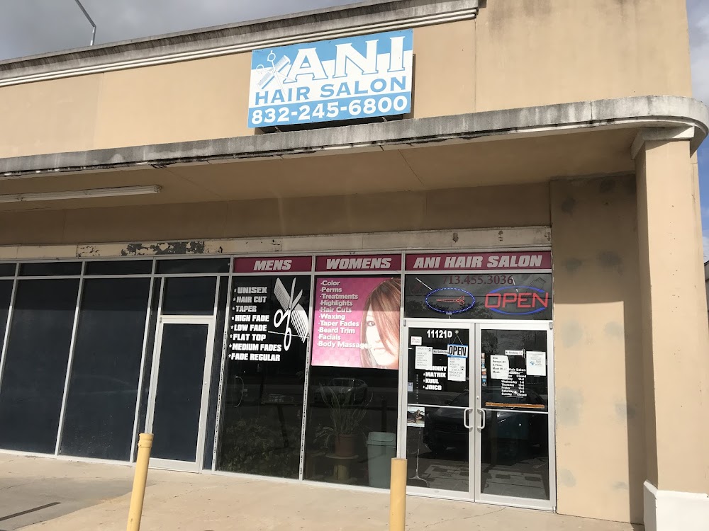 Ani's Hair Salon view 2
