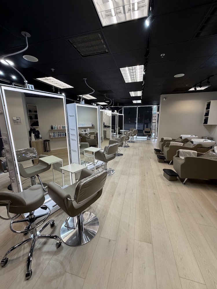 Salon Vive view 4