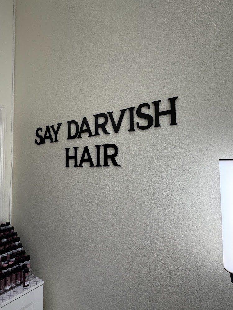 Sayyada Darvish Hair view 2