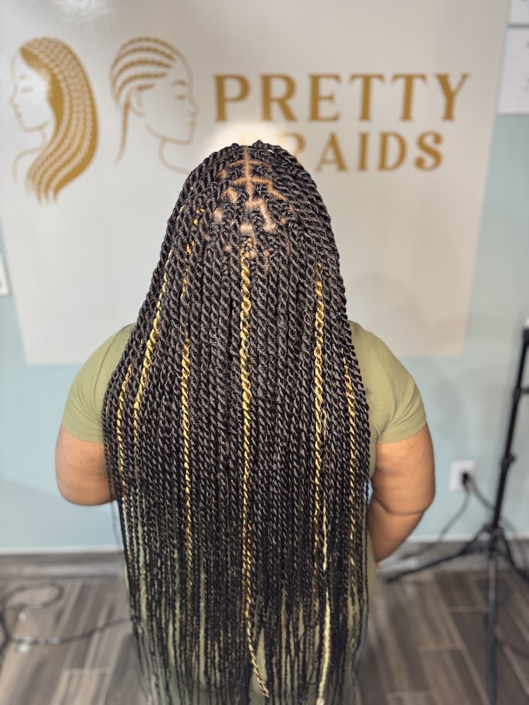 Pretty Braids primary photo