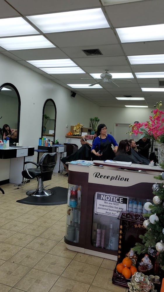 Rose hair salon view 4