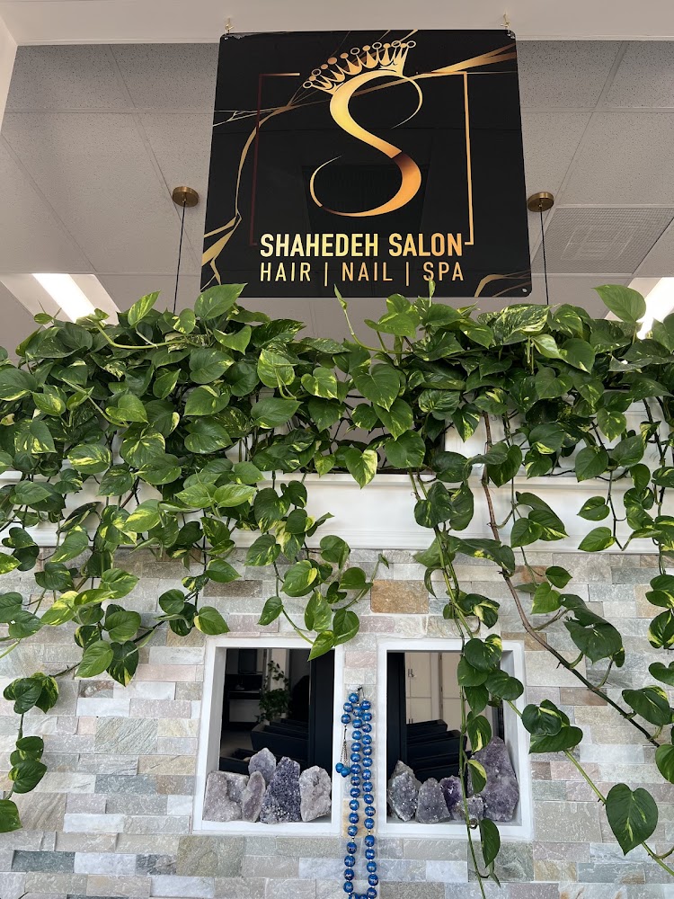 Shahedeh Salon view 2