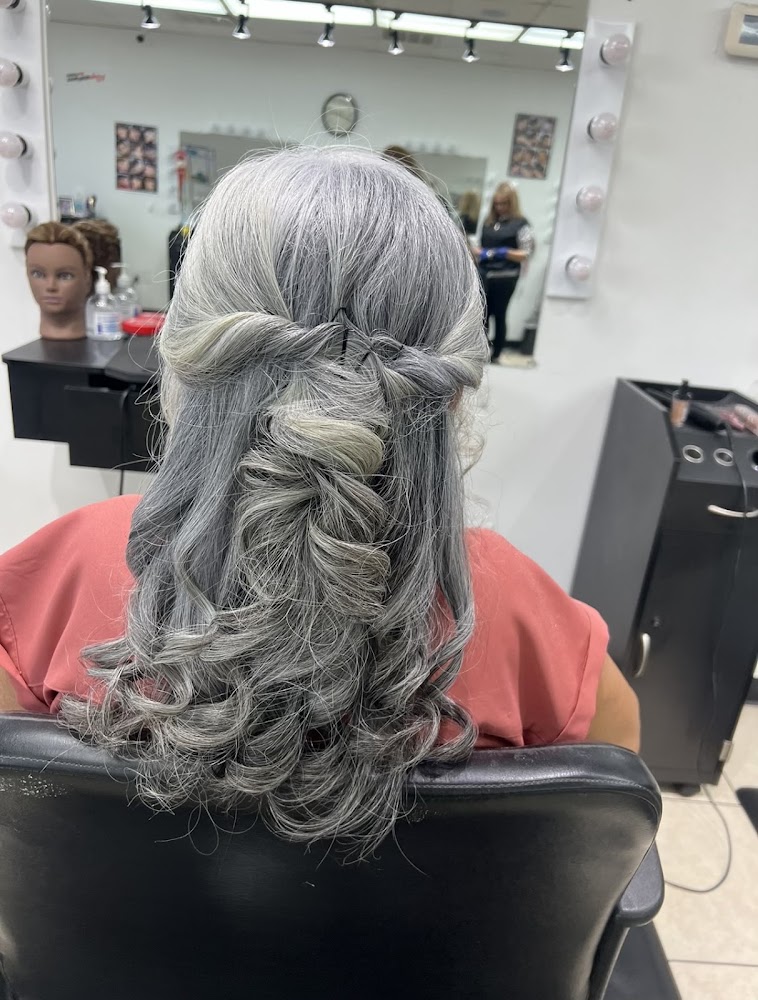 Camerino Salon view 3