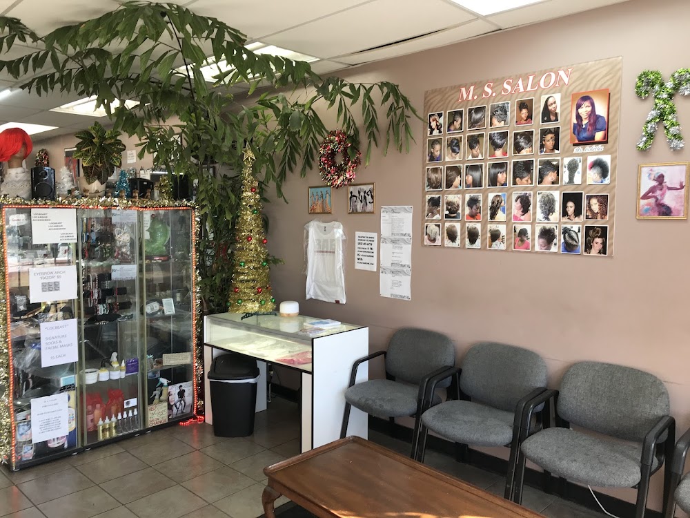 M.S. Salon view 3