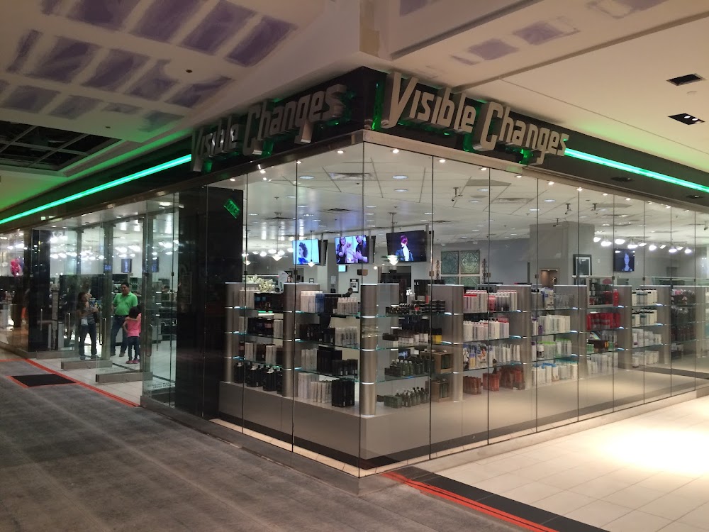 Visible Changes (inside Galleria 1) view 4