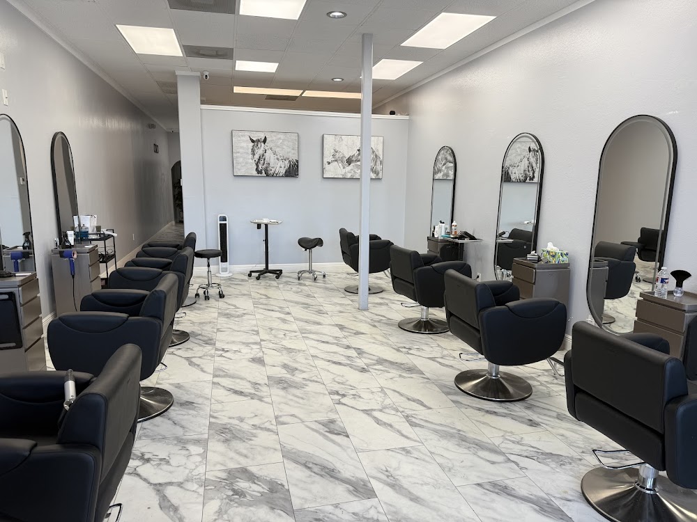 Mofan Salon view 5