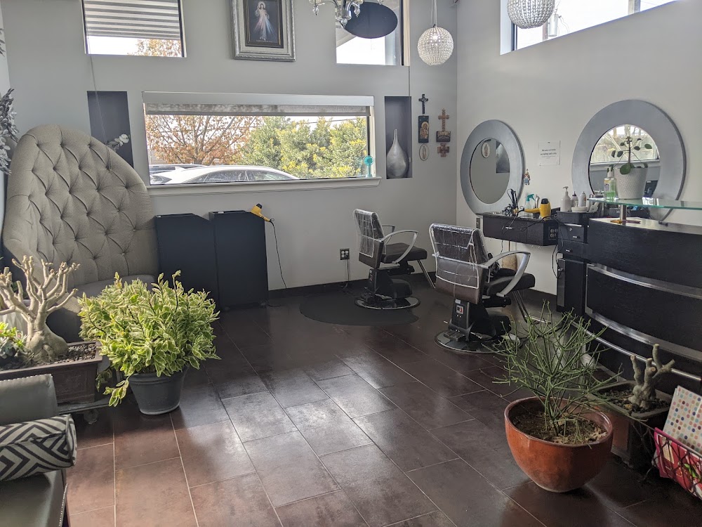 LN Hair Tech view 2