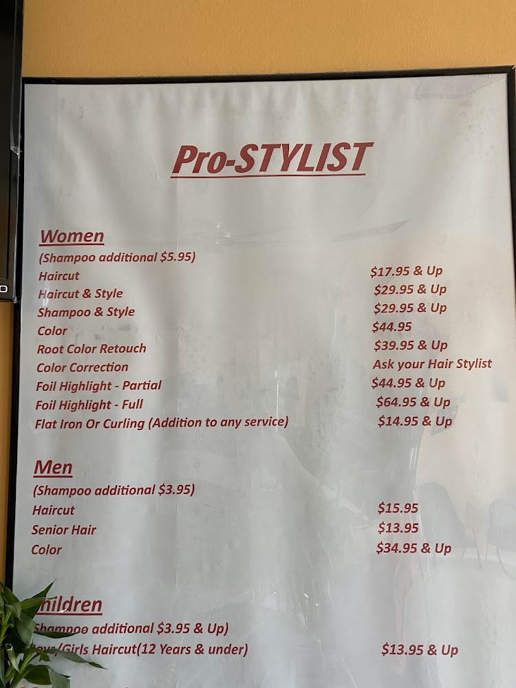 Pro Stylist view 3