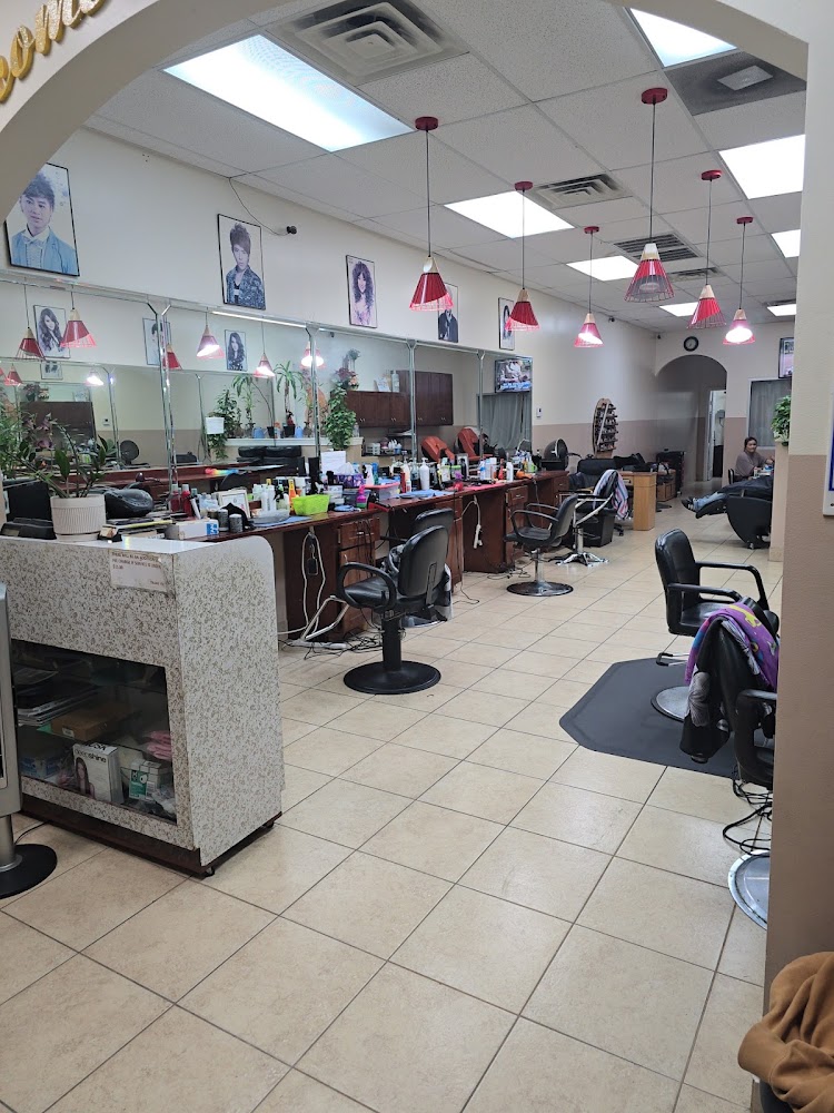 P V Salon primary photo