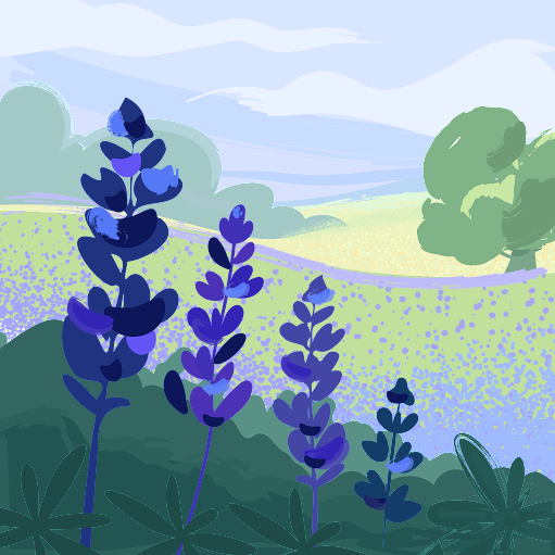 Saint Rose view 5
