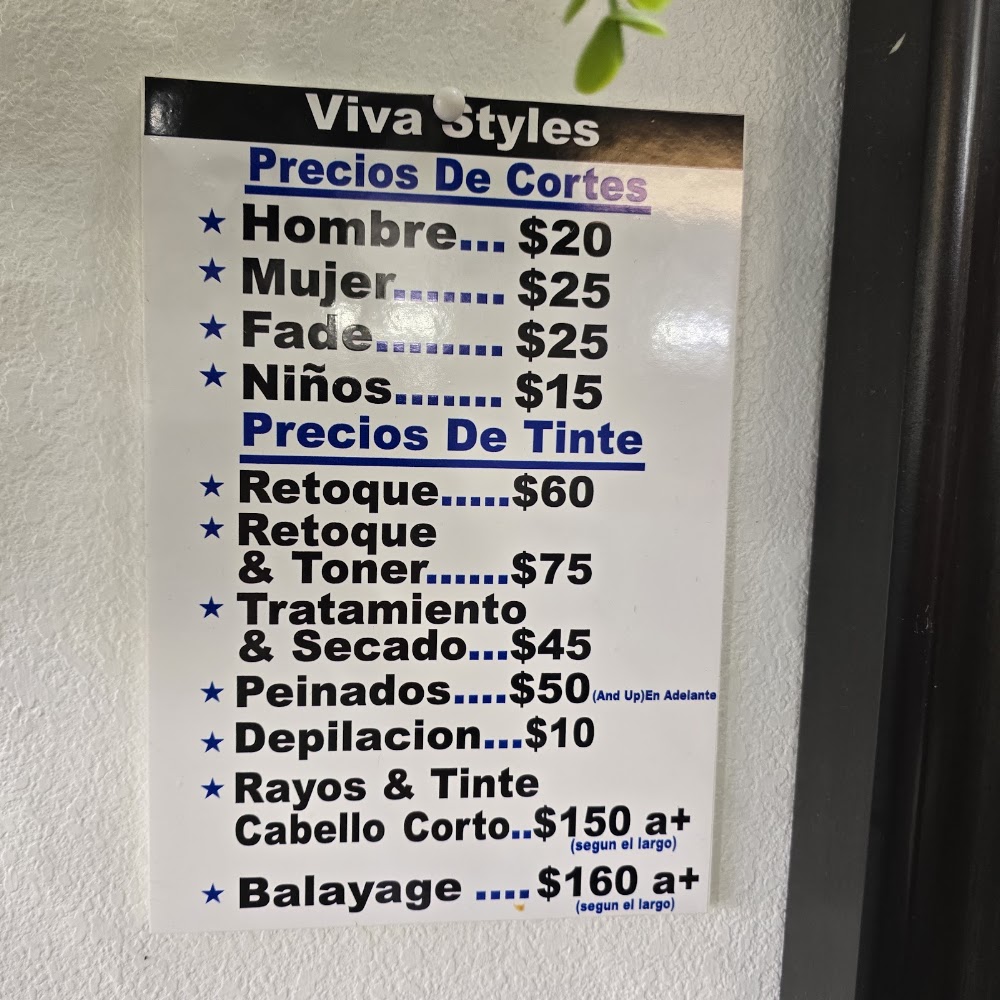 Viva Styles Hair Salon view 2