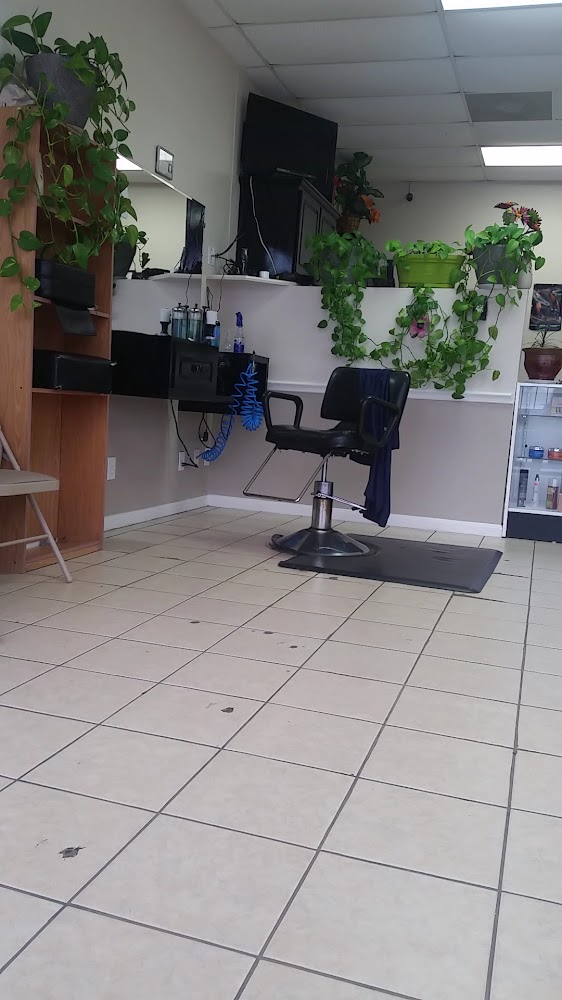 Beauty's Palace Hair Salon view 3