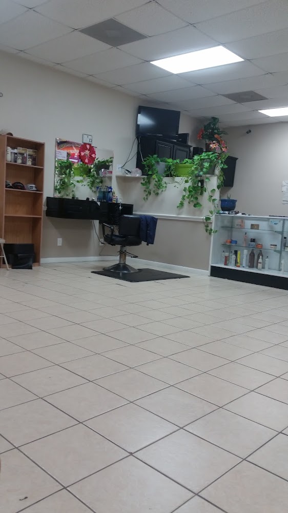 Beauty's Palace Hair Salon view 4