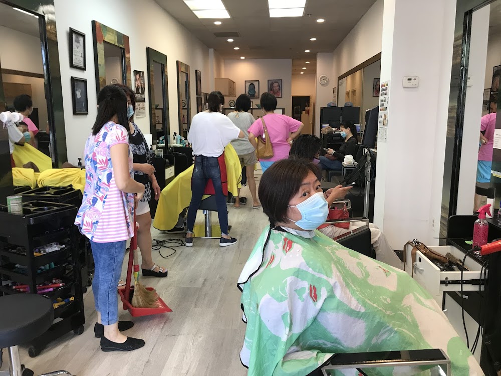 Andy hair salon view 5