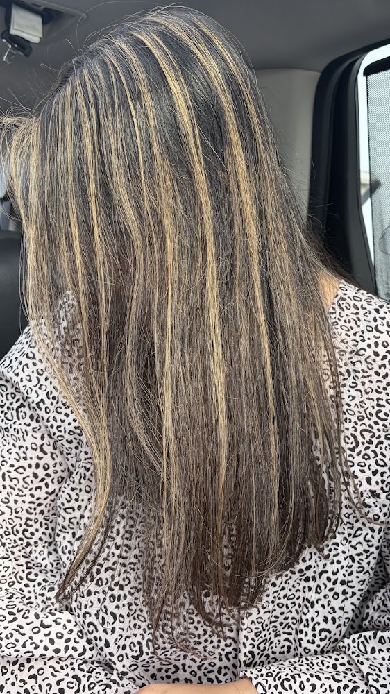 The Lindsey Salon view 2