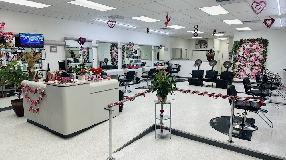 Express Beauty Salon primary photo