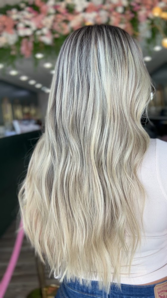 The Orlando Salon view 4