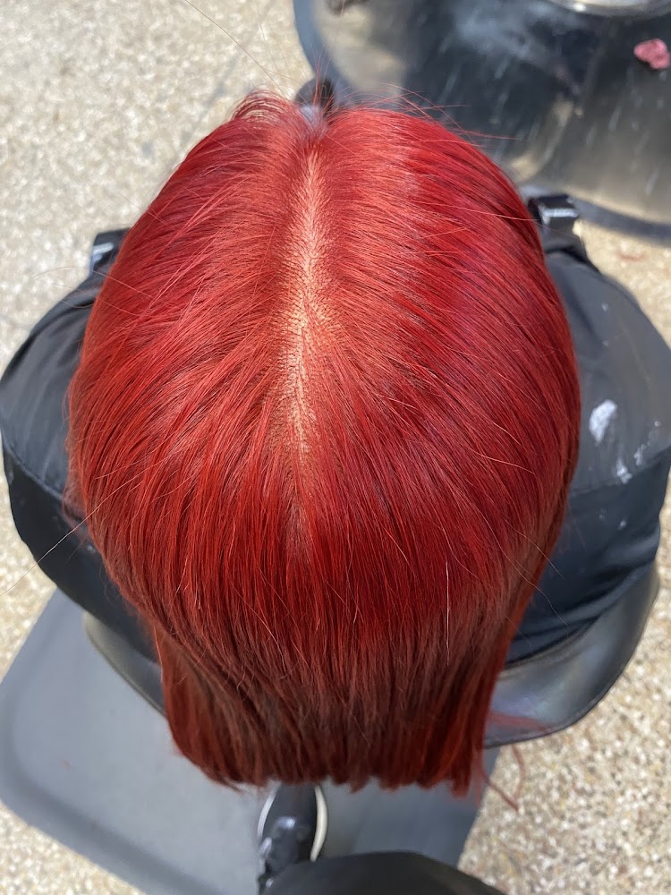 Vidal's Hair Salon view 4