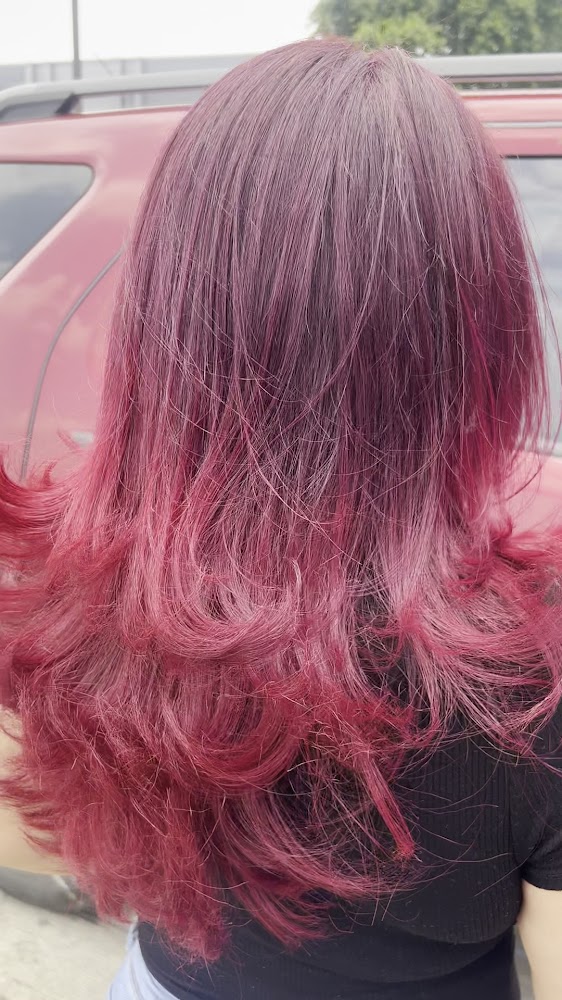 Paris Hair Salon view 3