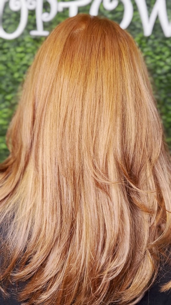 Uptown Shears Hair Salon view 3