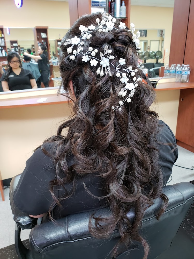 Fancy Salon view 2