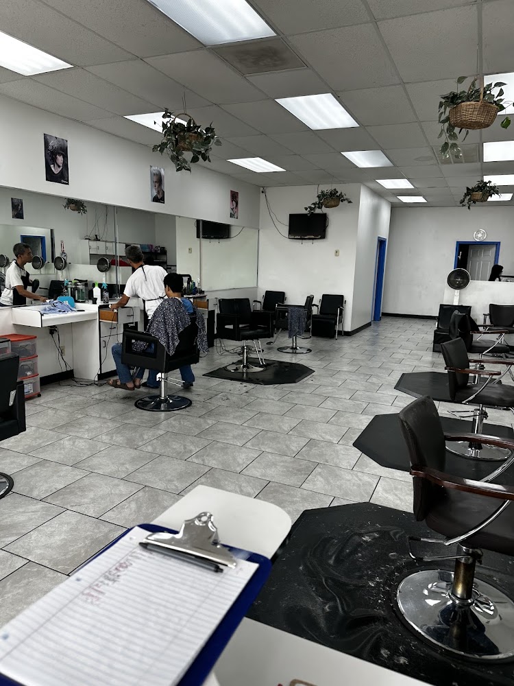 LT hair care view 3