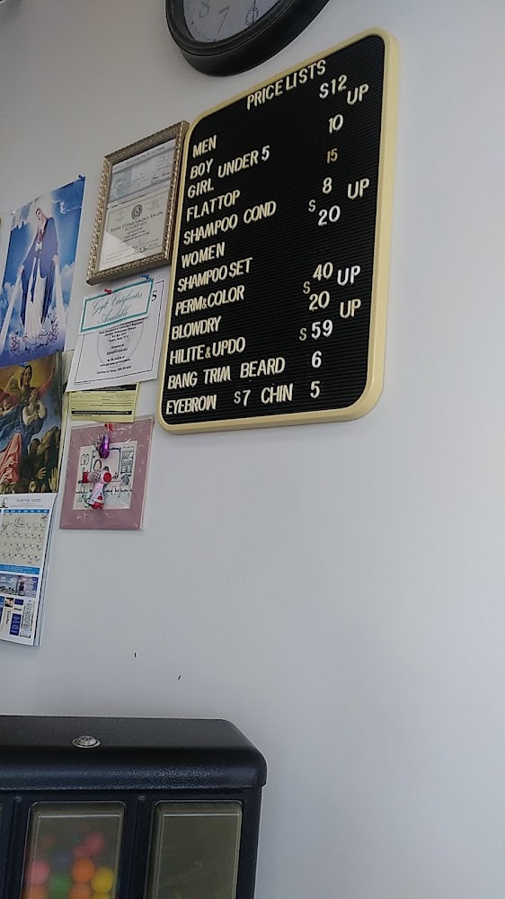 LT hair care view 4