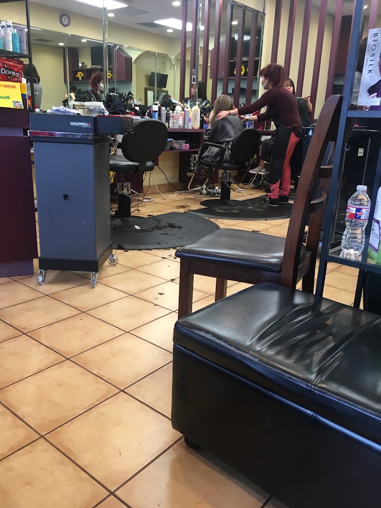 Salon 9 view 2