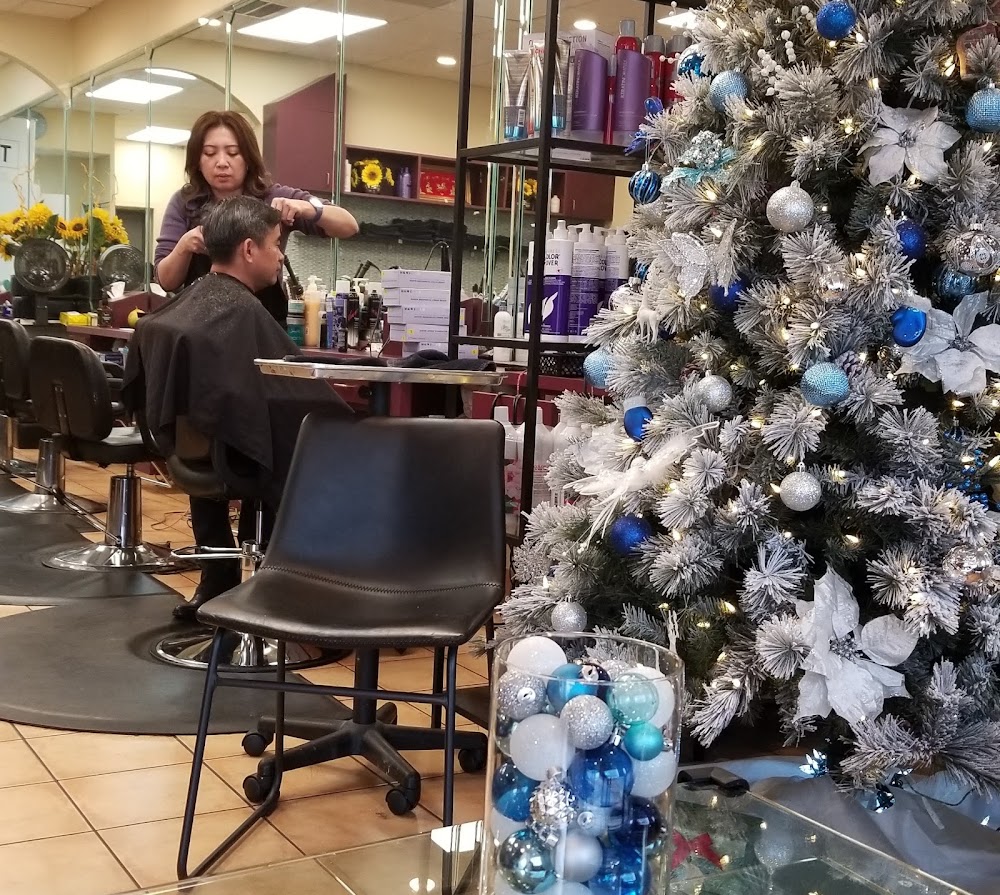 Salon 9 view 3