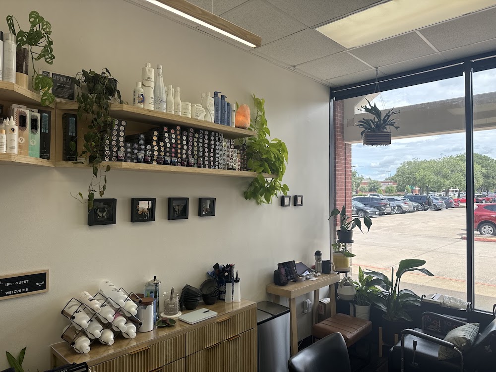 The Black Tulip Salon view 2