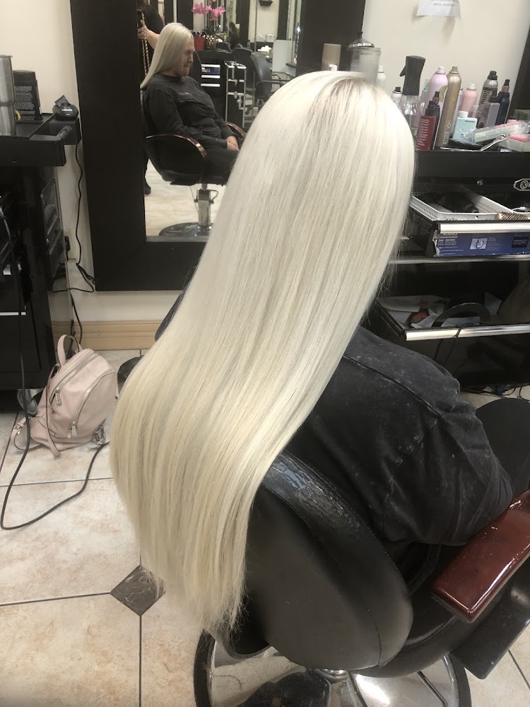 Arena Salon II view 2