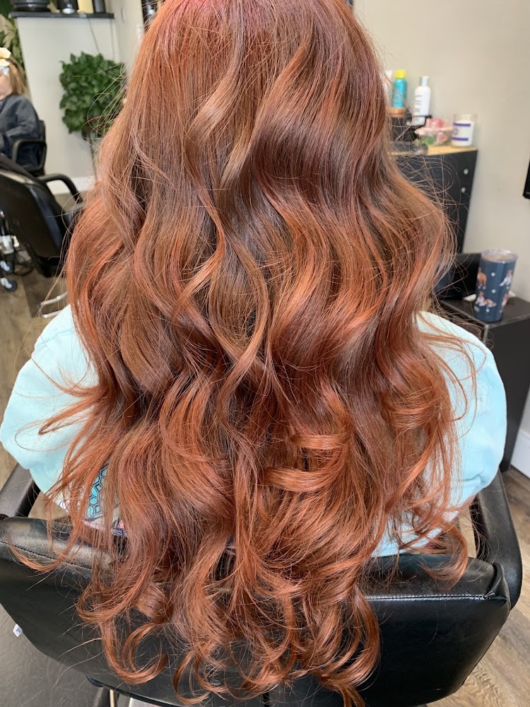 Salon Ambience primary photo