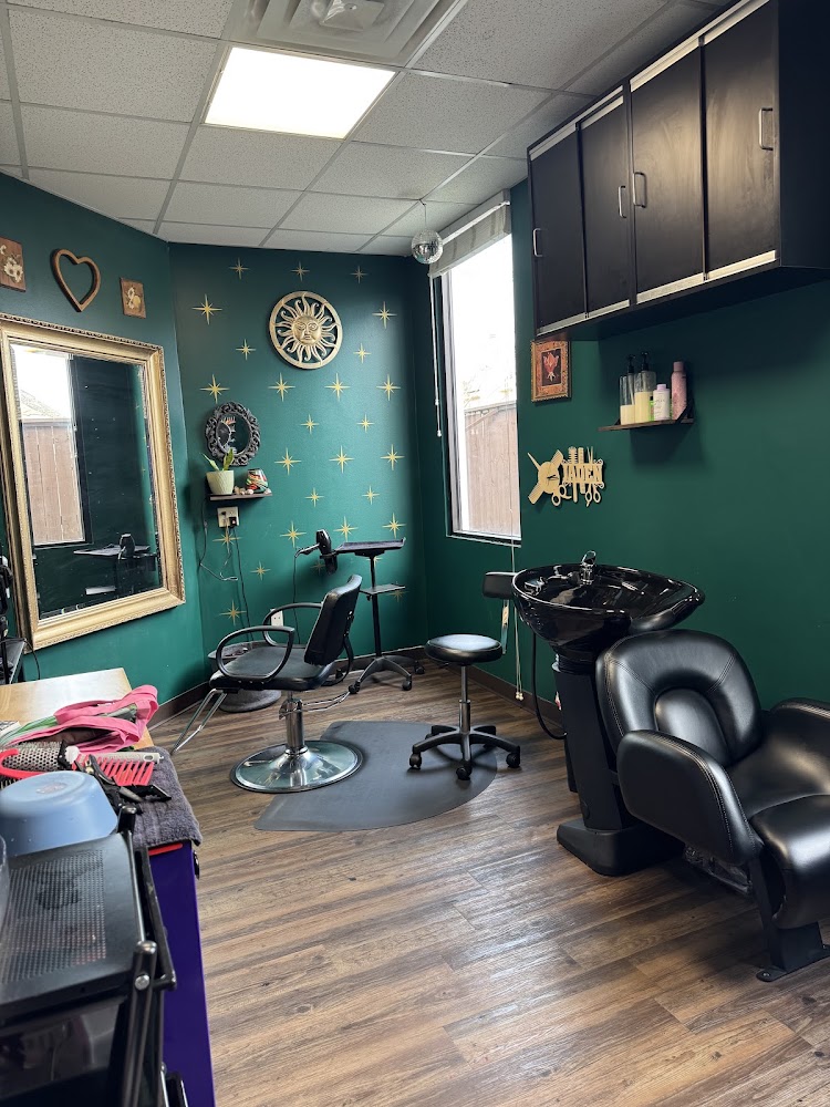Grim and Glam Salon view 4