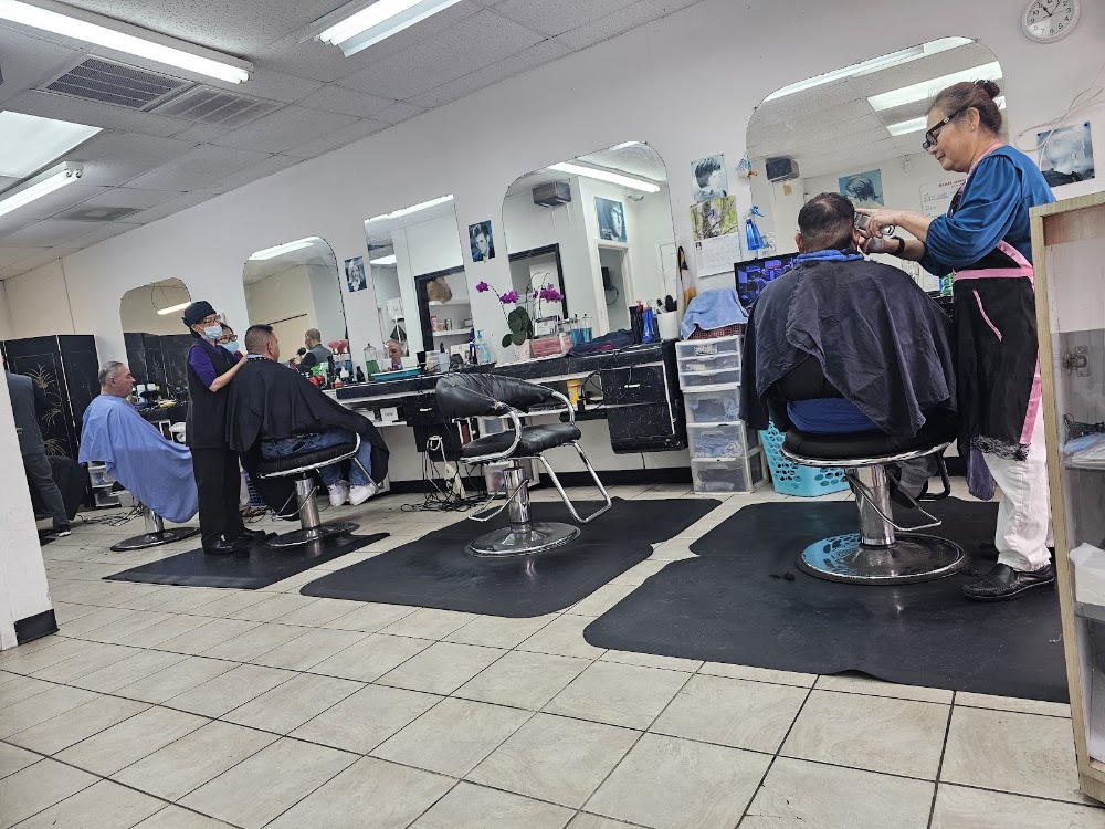 Hollywood Hair & Nail view 3