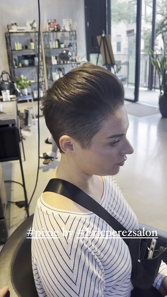 Eric Perez Salon view 5