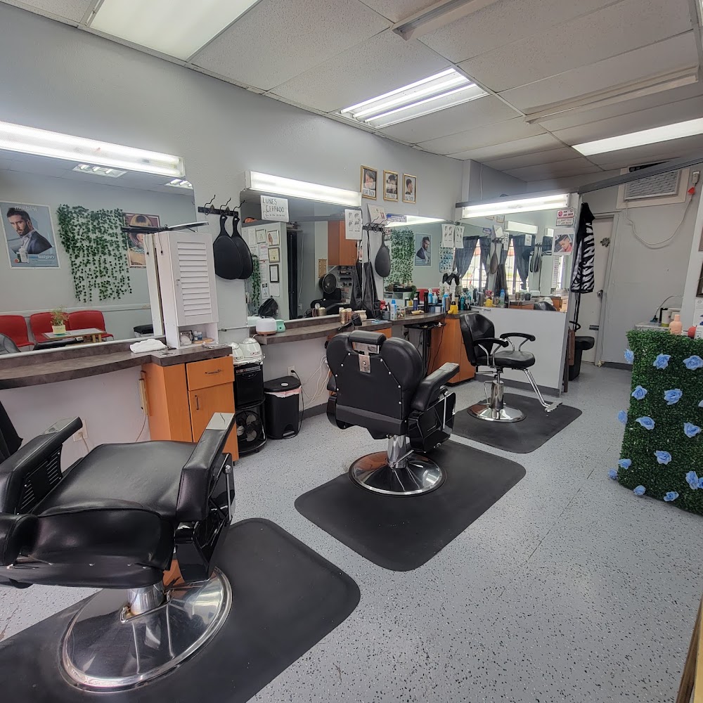 New Look Hair & Beauty Salon view 2