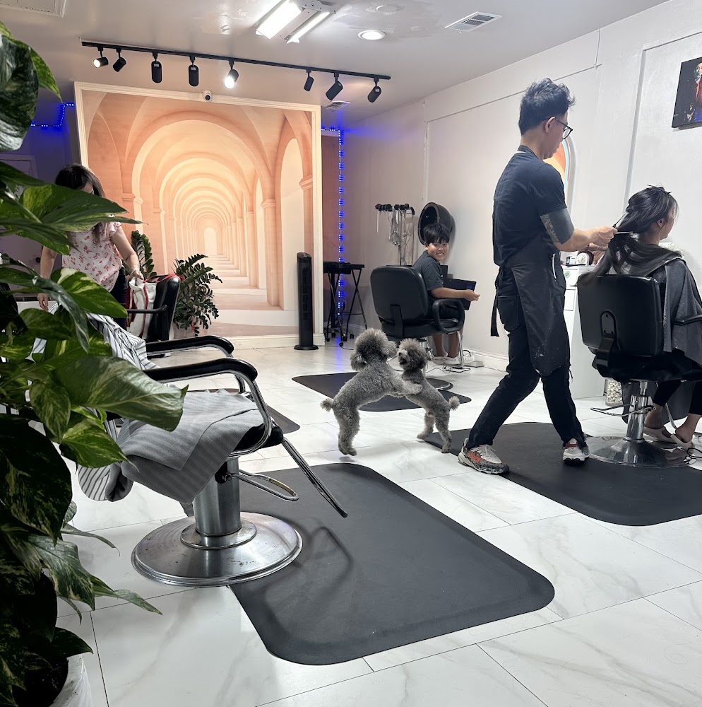 LOUIS HAIR SALON view 5