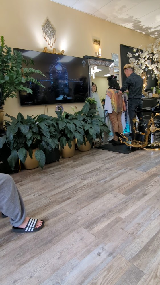 JQ Beauty Salon view 4