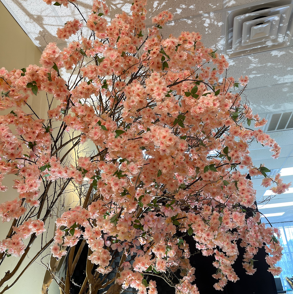 JQ Beauty Salon view 5