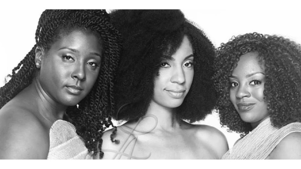 Lady Ayri Natural Hair Care LLC primary photo