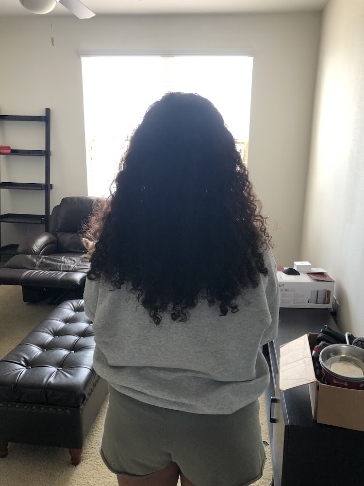 A Wild Salon and Co view 3