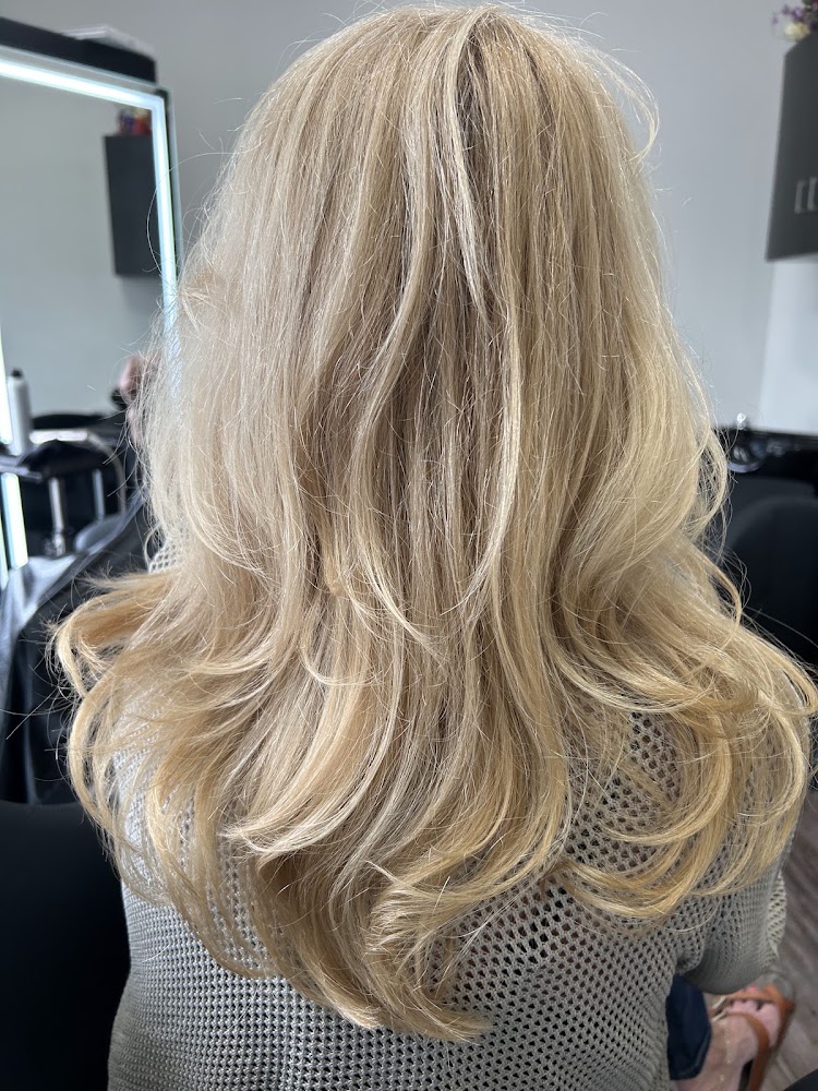 Anedena Salon view 3