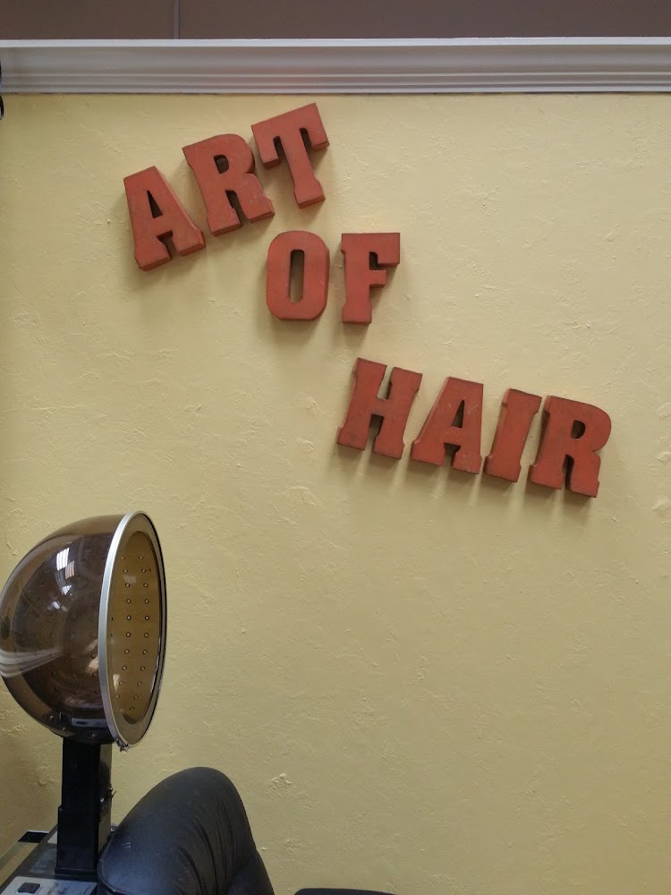 Art of Hair view 2