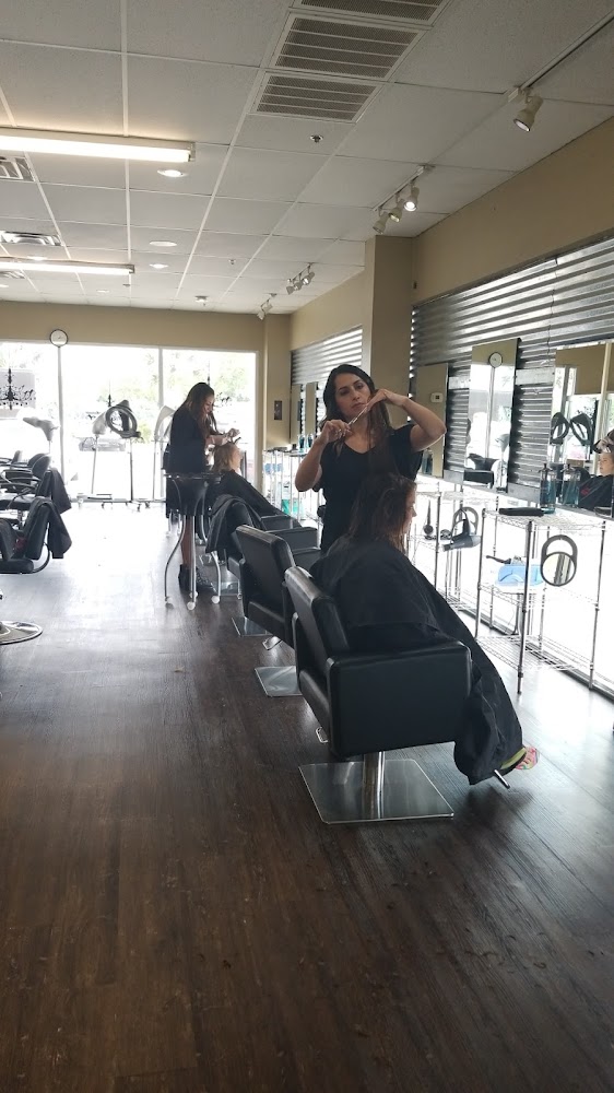 Atelier Salon view 3